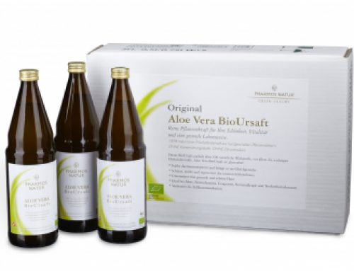 ALOE VERA BioURSAFT – Kurpackung (3 x 750ml)